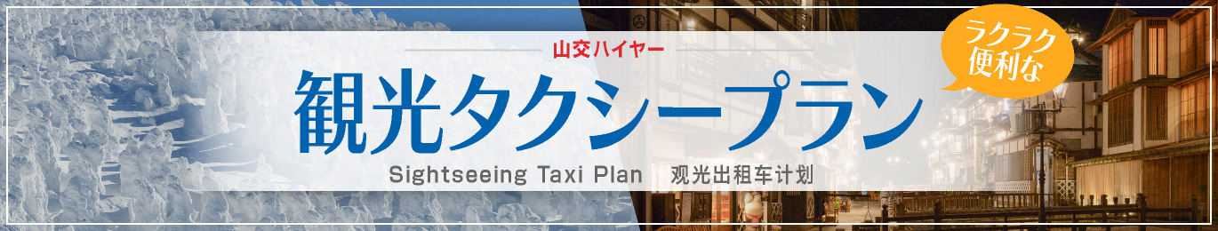観光タクシープラン