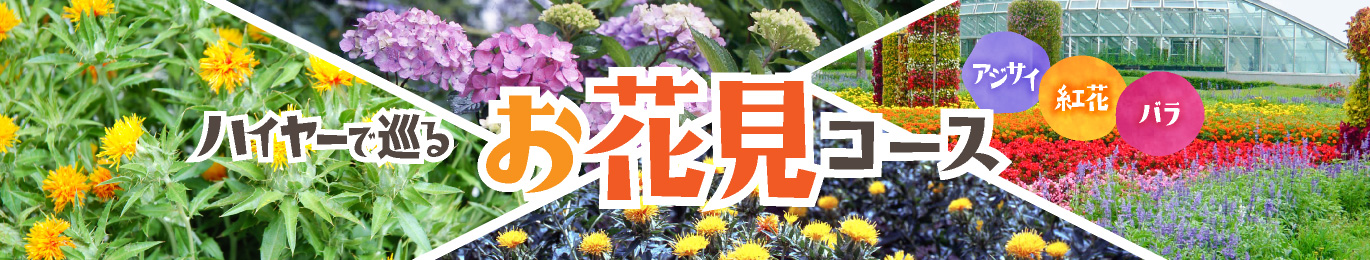 ハイヤーで巡るお花見コース